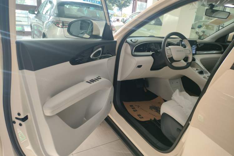 Used  Geome 2025 310km Youth Edition
