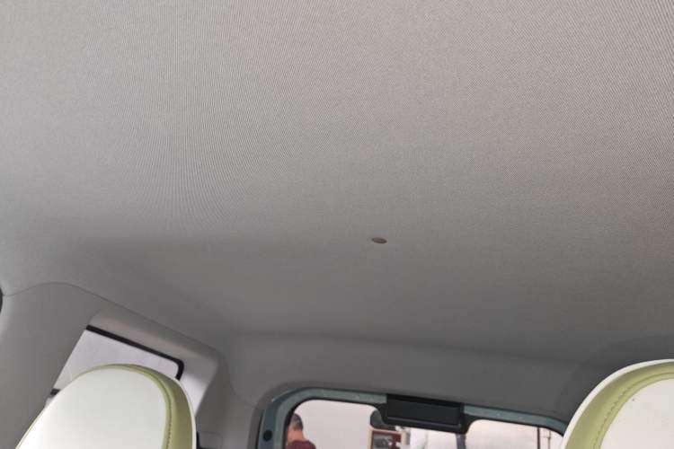 Used  Panda 2023 Panda Mini 120km Asian Games Edition
