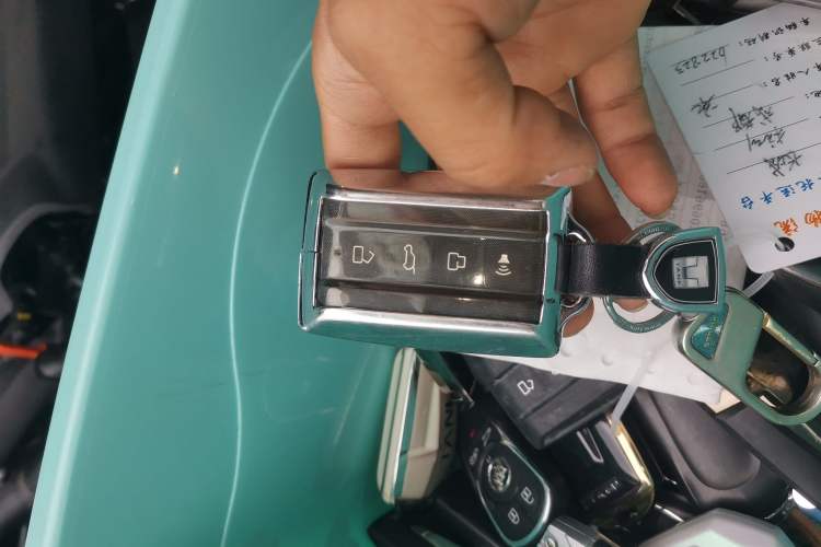 Used Tank 300 2023 City Edition 2.0T—Stylish as Ever
