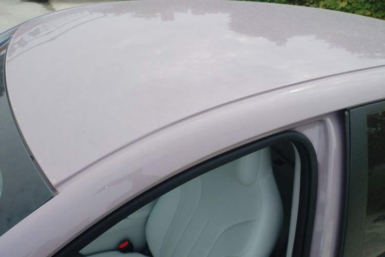 Used  Geome 2025 310km Youth Edition
