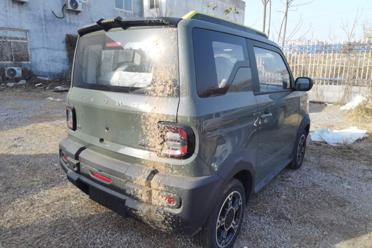 Used  Panda 2025 210km Panda Rider