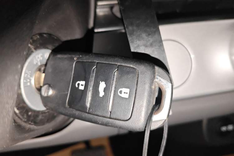 Used  Lumin 2025 205 km Xiangqin Version
