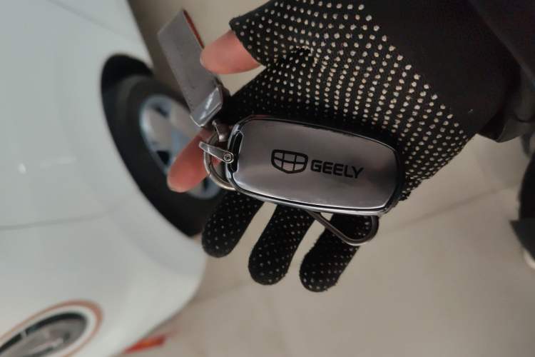 Used  Panda 2024 Panda Mini 200km Endurance Bear
