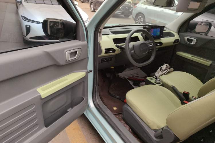 Used  Panda 2024 Panda Mini 200km Longteng PRO Edition
