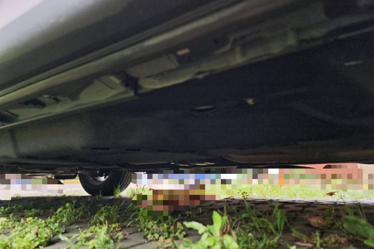 Used Mazda CX-5 2020 Revised Version 2.0L Automatic Two-Wheel Drive Smart Type