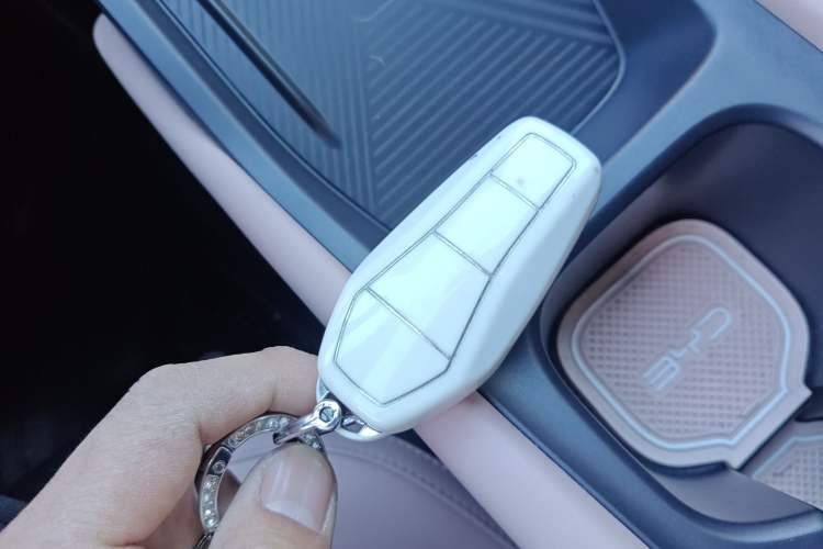 Used BYD Seagull 2023 Flying Edition
