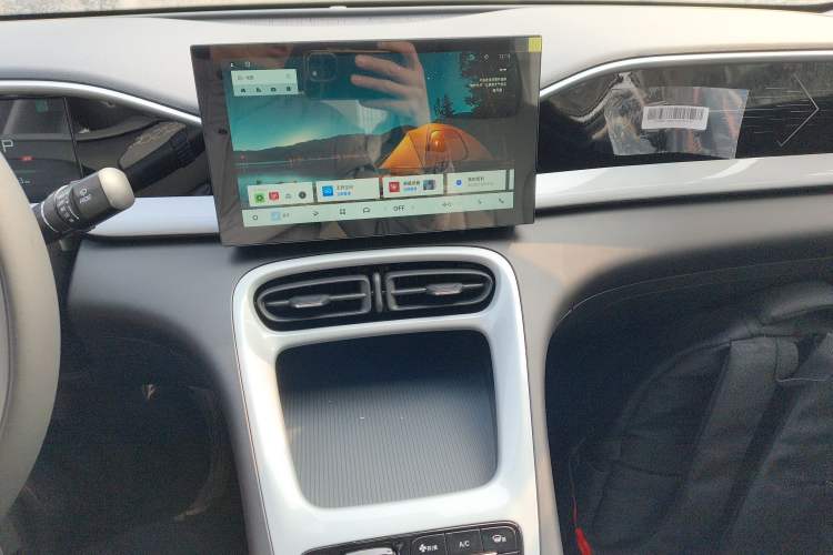 Used  Geome 2026 Model 310km Youth Edition
