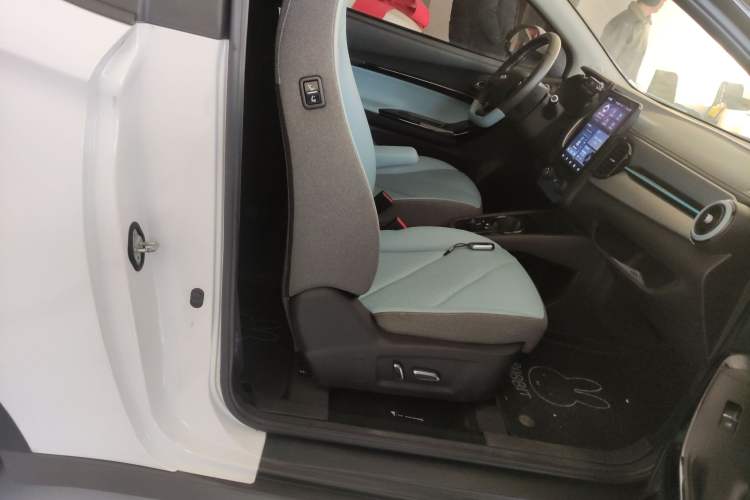 Used Chery Little Ant 2023 251km True Love Edition Lithium Iron Phosphate
