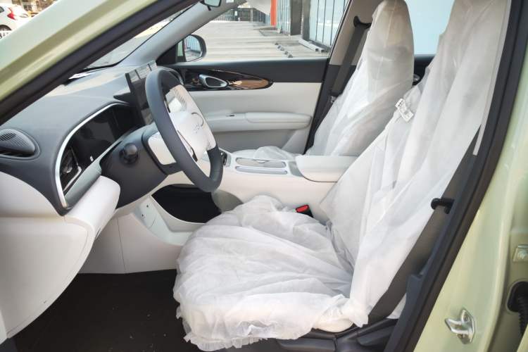 Used  Geome 2025 310km Dream Edition
