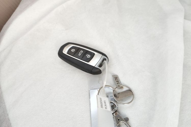 Used  Panda 2025 210 km – Yuanqi Bear
