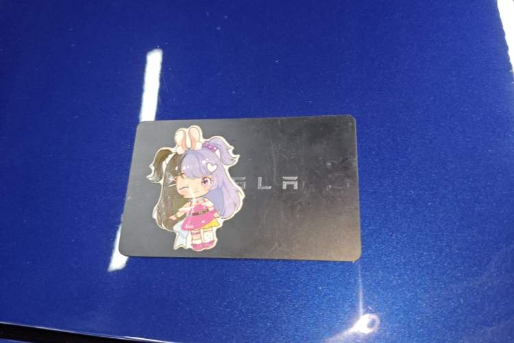 Used Tesla Model Y 2022 Revised Version Rear-Wheel Drive
