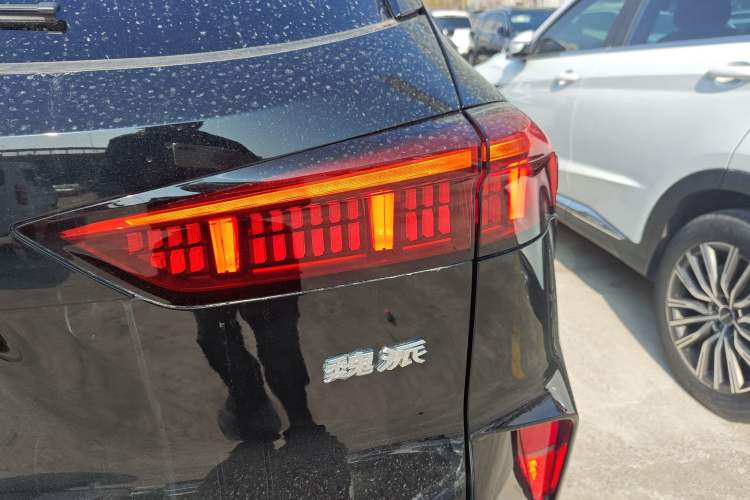 Used Wey Mocha 2021 2.0T Two-Wheel-Drive Ultra-Strong Version