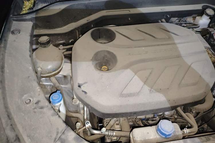 Used Oshan Z6 2022 Blue Whale 1.5T DCT Luxury Model
