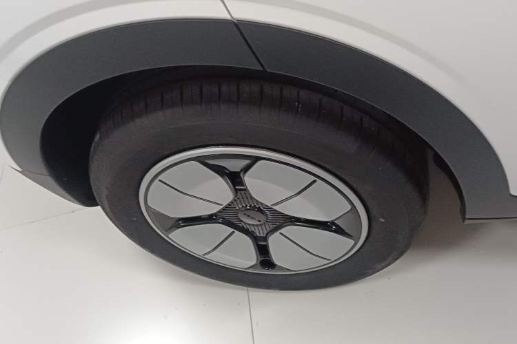 Used  Geome 2025 310km Youth Edition
