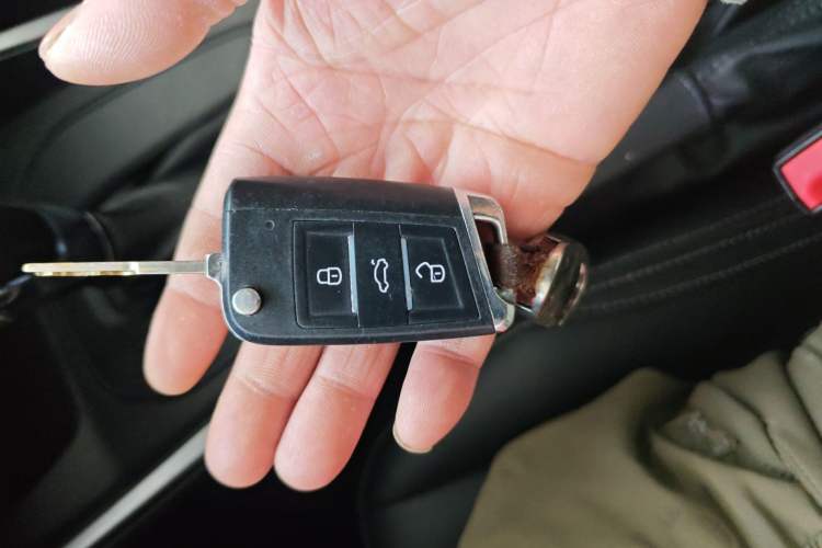 Used Ford Escort 2019 Revised 1.5L Automatic ZhiXiang Version China VI Standard