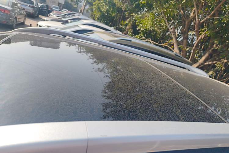 Used Kia Sportage R 2019 2.0L Automatic Smart Luxury Edition