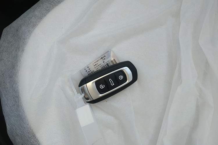 Used  Panda 2025 210 km – Yuanqi Bear
