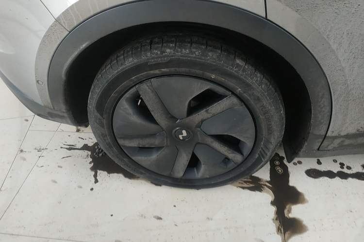 Used ONVO L60 2024 60 kWh Rear-Drive Version
