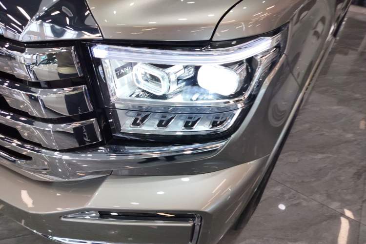 Used Tank 500 New Energy 
