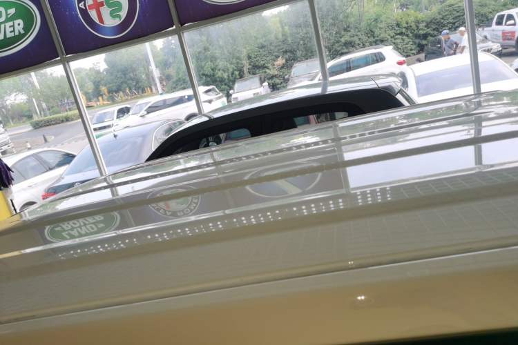 Used  Panda 2023 Panda Mini 200km Endurance Bear
