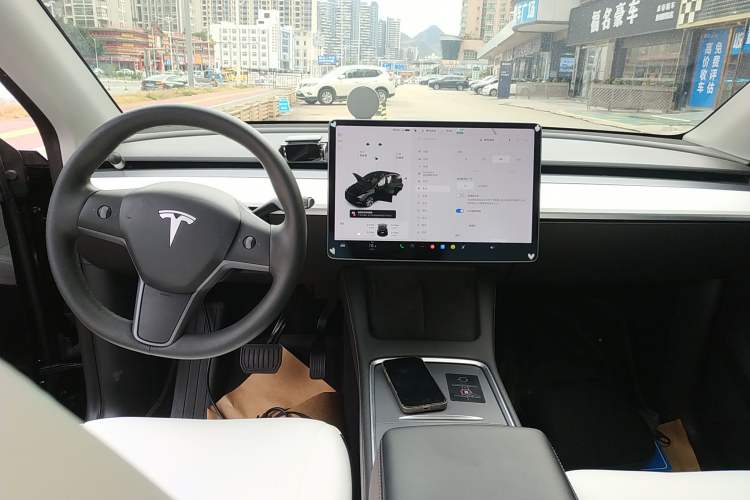 Used Tesla Model Y 2021 Standard Range Rear-Wheel Drive Version
