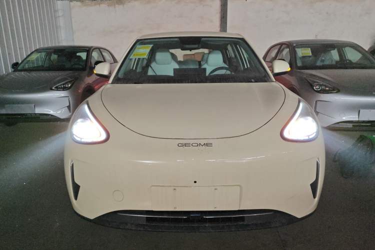 Used  Geome 2026 Model 310km Dream Edition