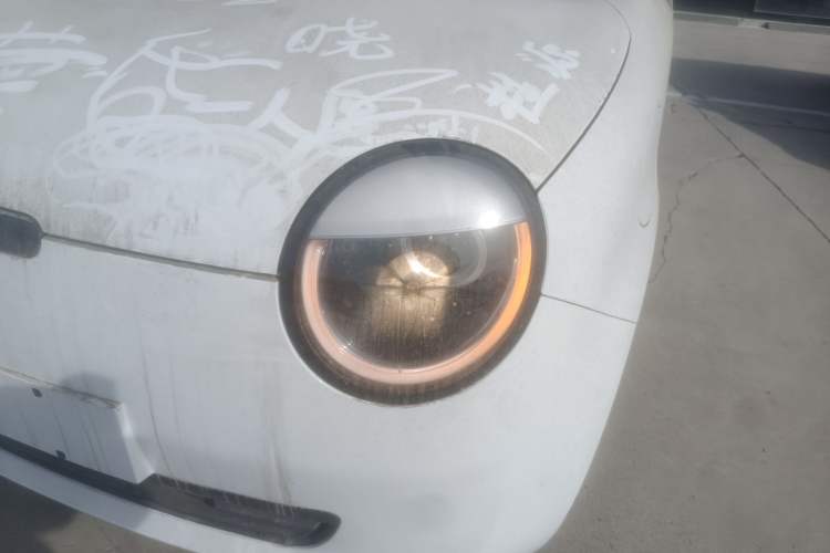 Used Qiyuan Lumin 2024 130km Qingyue Version
