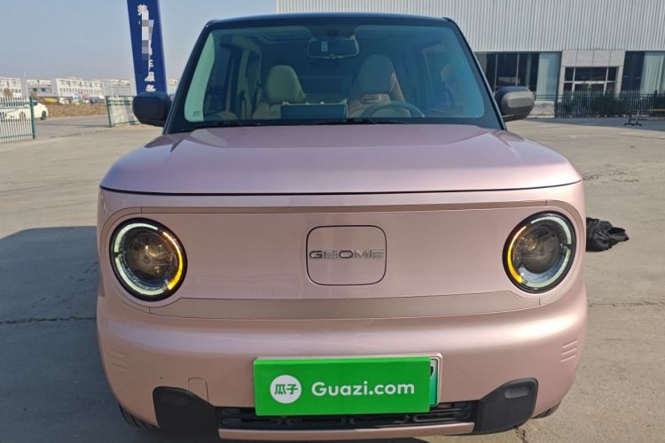 Used  Panda 2023 Panda Mini 200km Dynamic Bear
