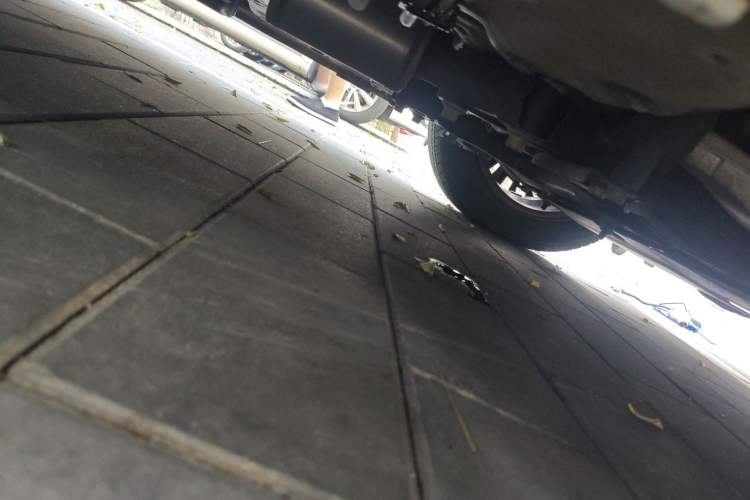 Used Honda Odyssey 2019 2.0L Rui·Smart Edition