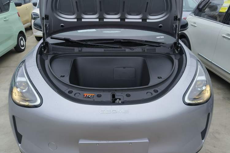 Used  Geome 2025 310km Youth Edition
