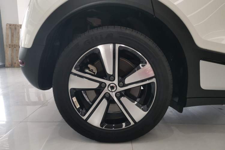 Used  #1 2024 Dynamic Standard Edition
