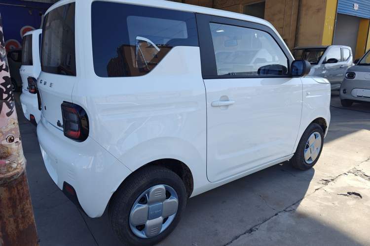 Used  Panda 2024 Panda Mini 200km Endurance Bear