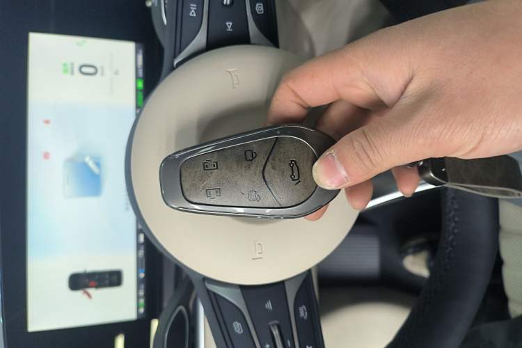 Used VOYAH Dream 2024 PHEV Ultra-Long Range Flagship Edition
