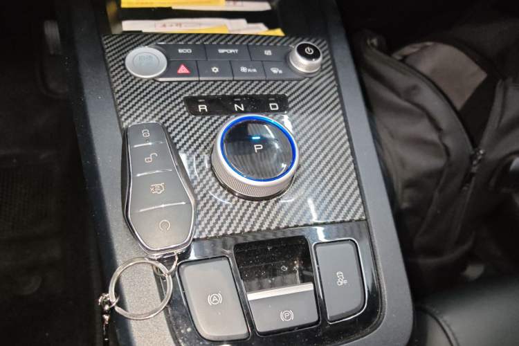 Used BYD e2 2020 Upgraded Version Long-Range Edition Luxury Model
