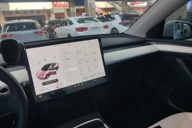 Used Tesla Model Y 2021 Standard Range Rear-Wheel Drive Version
