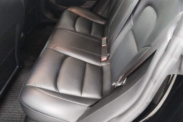 Used Tesla Model 3 2020 Standard Range Rear-Wheel Drive Upgraded Version