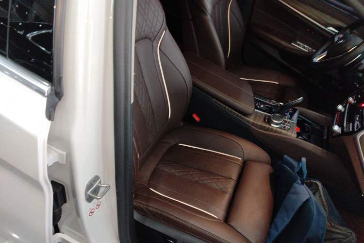 Used BMW 5 Series 2020 530Li Luxury Edition Premium Package