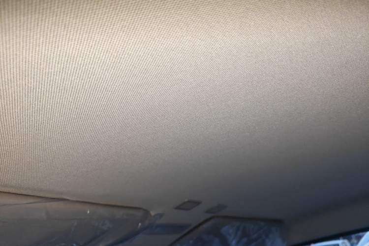 Used  Panda 2024 Panda Mini 200km Endurance Bear
