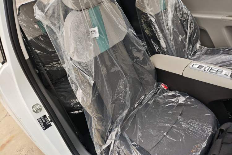 Used  Lumin 2025 205 km Xiangqin Version