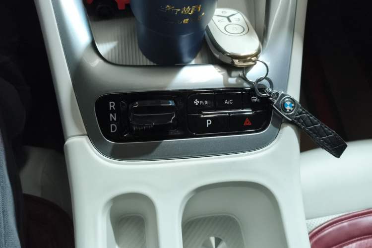 Used  Geome 2025 310km Youth Edition
