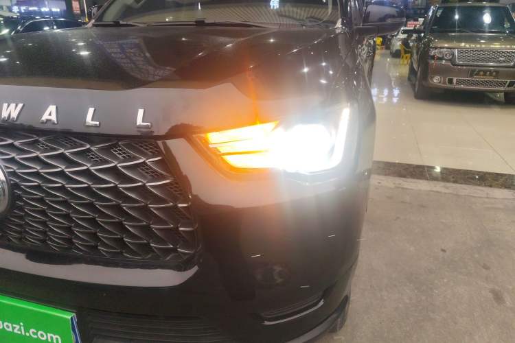 Used Great Wall Poer 2019 2.0T Commercial Version Manual Diesel Two-Wheel Drive Elite Long-Box GW4D20M
