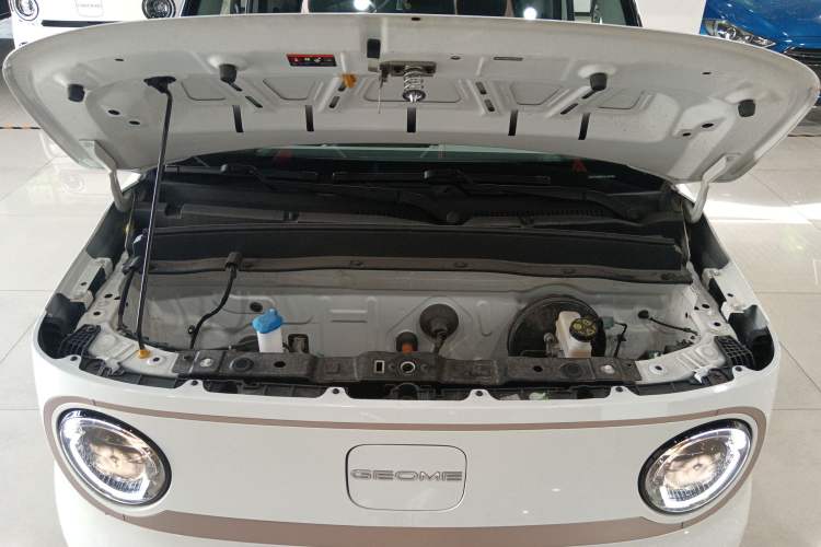 Used  Panda 2023 Panda Mini 200km Endurance Bear
