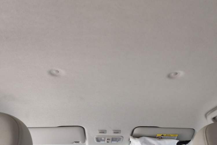 Used ORA White Cat 2020 305 km Luxury Version
