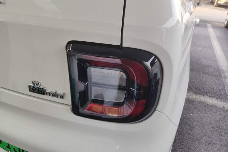 Used  Panda 2024 Panda Mini 200km Endurance Bear
