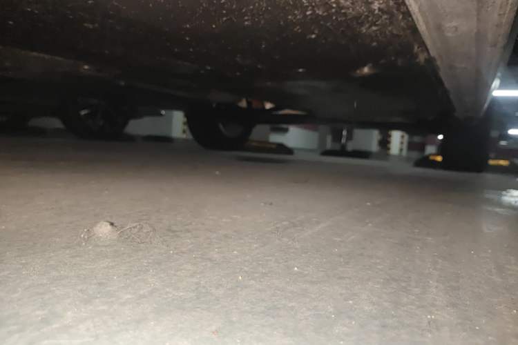 Used Volkswagen Lavida 2023 New Sharp 1.5L Manual New Comfort Edition
