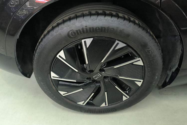 Used  07 2024 Max Extended-Range Edition