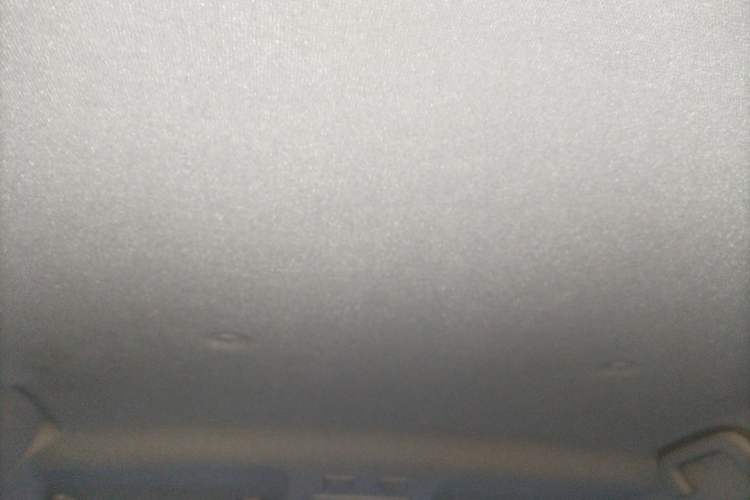 Used ORA Black Cat 2019 351 km Goddess Edition
