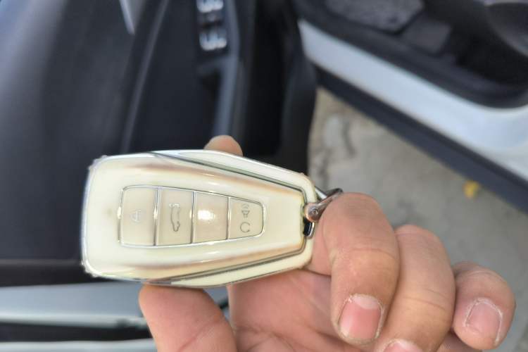 Used Geometry E Firefly 2022 320KM Cute Tiger 4-Seater
