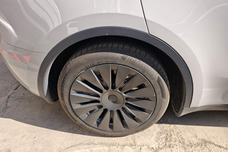 Used Tesla Model Y 2021 Standard Range Rear-Wheel Drive Version
