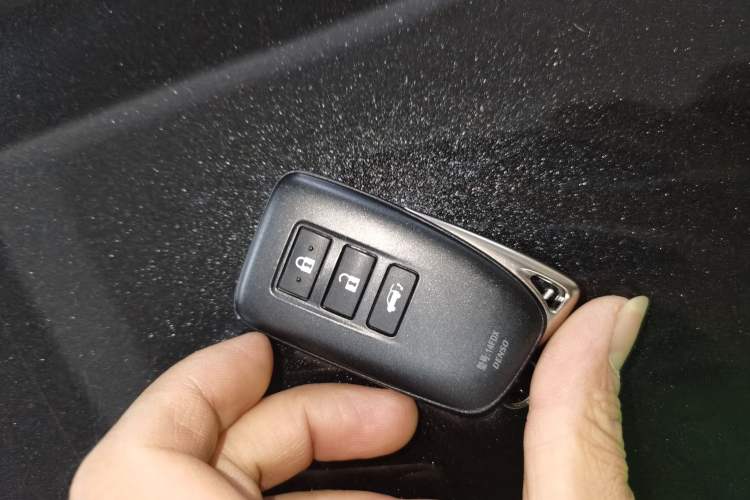 Used Lexus RX 2020 Revised Version 300 Two-Wheel Drive Comfort Edition
